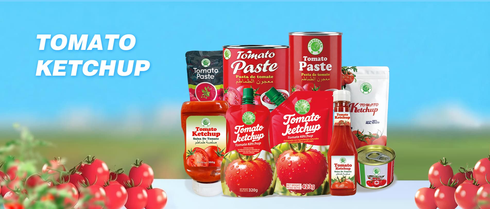 Tomato Ketchup